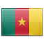Cameroon flag