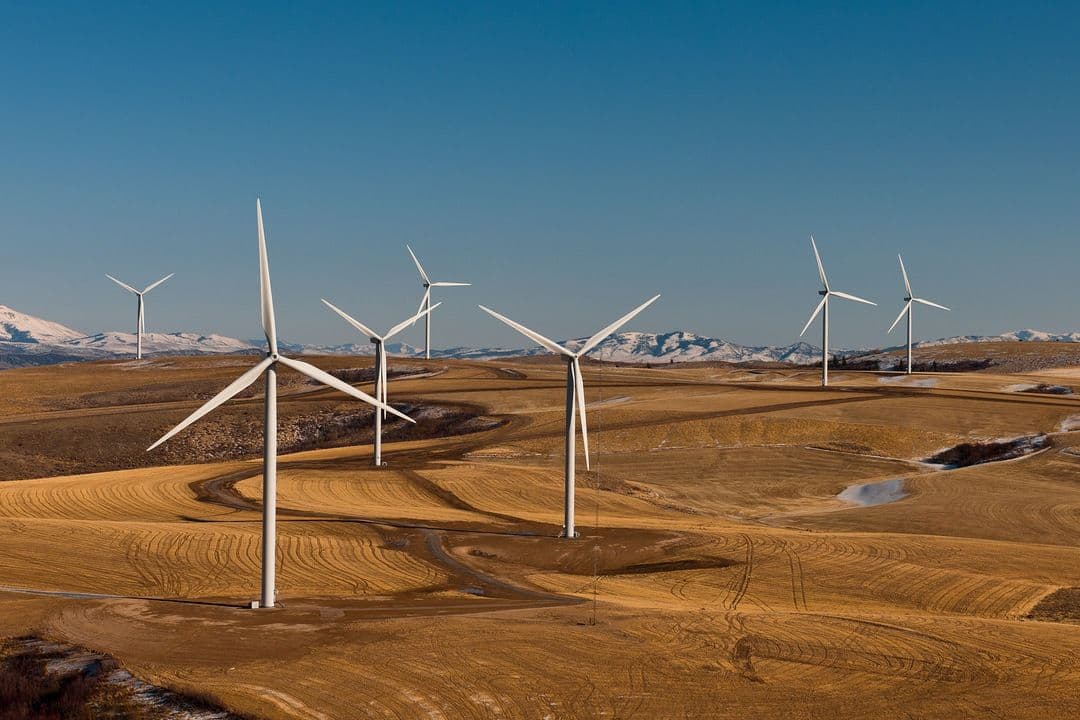 EU unveils plan to double electrification by 2040