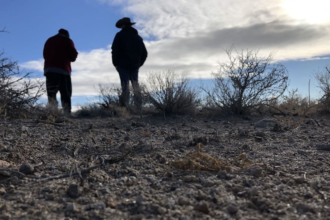 EU Pushes Drought and Land Resilience Agenda
