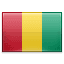 Guinea flag