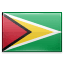 Guyana flag