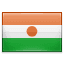 Niger flag