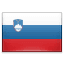 Slovenia flag